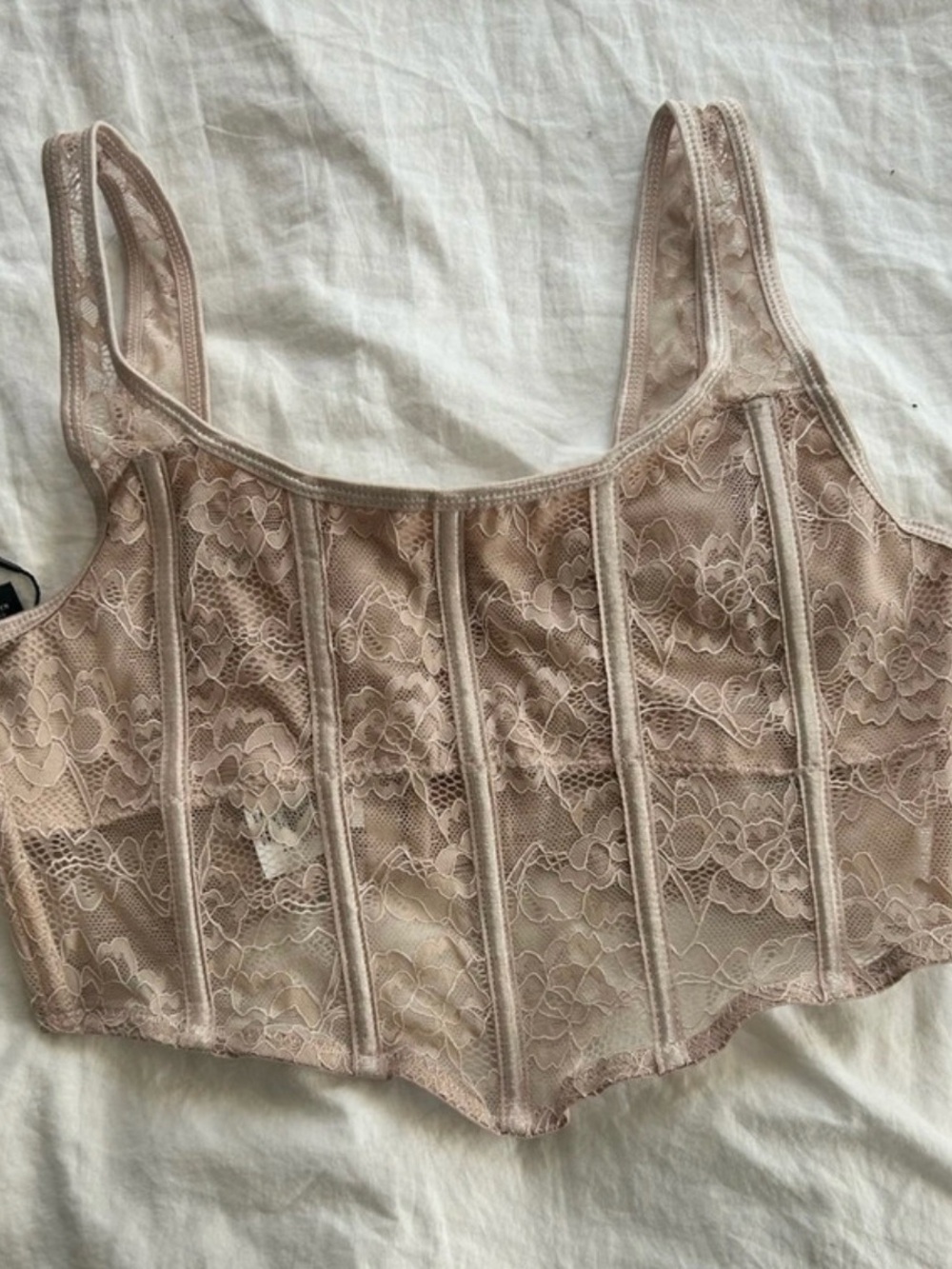Charlotte Russe Sheer Lace Longline Bralette - Light Blush